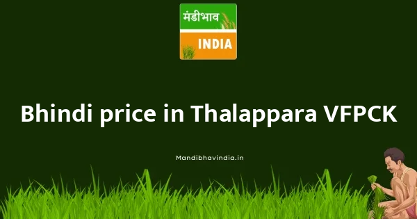 Bhindi price